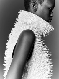 Editorial - © RORY VAN MILLINGEN